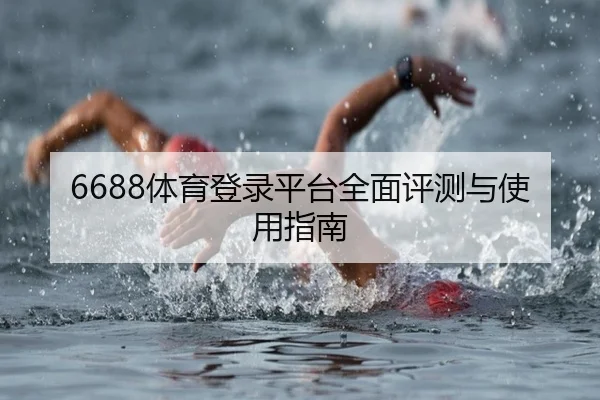 6688体育登录平台全面评测与使用指南