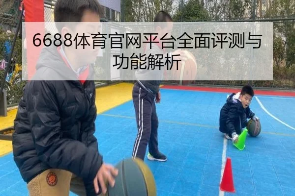6688体育官网平台全面评测与功能解析