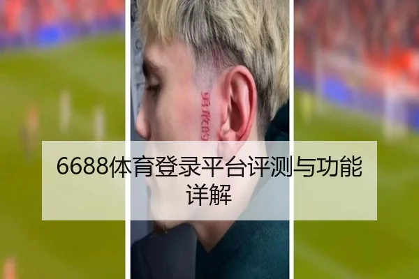 6688体育登录平台评测与功能详解