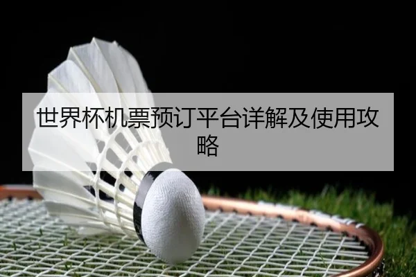 世界杯机票预订平台详解及使用攻略
