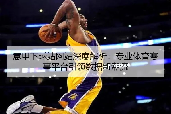 意甲下球站网站深度解析：专业体育赛事平台引领数据新潮流