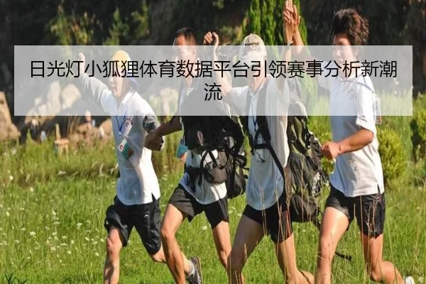 日光灯小狐狸体育数据平台引领赛事分析新潮流